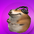 Avatar gnomus